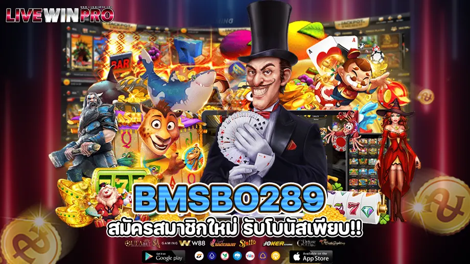 bmsbo289