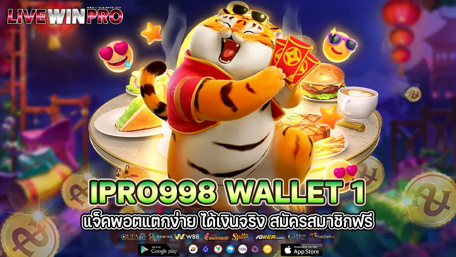 Ipro998 wallet 1