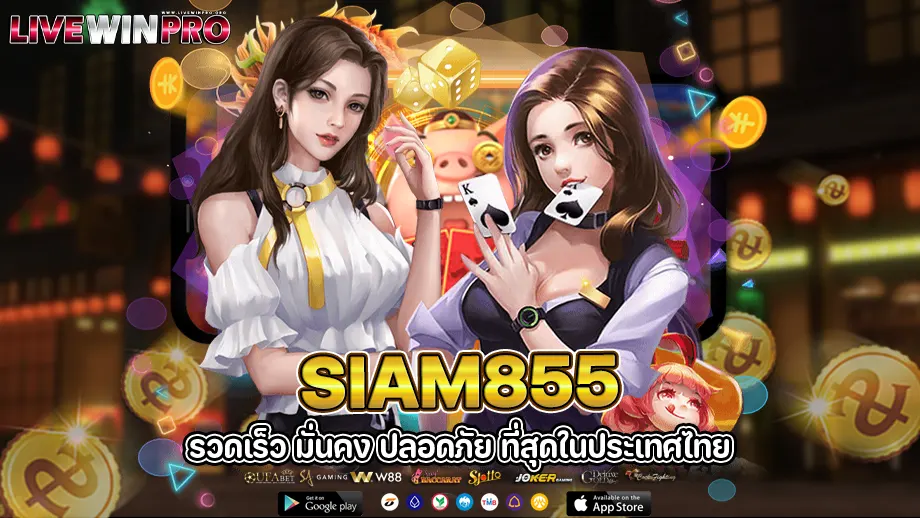 SIAM855