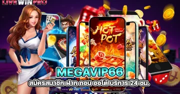 MEGAVIP66