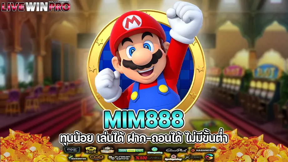 mim888